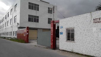 廣州安德斯防水建材廠 建筑防水領(lǐng)域的可靠伙伴